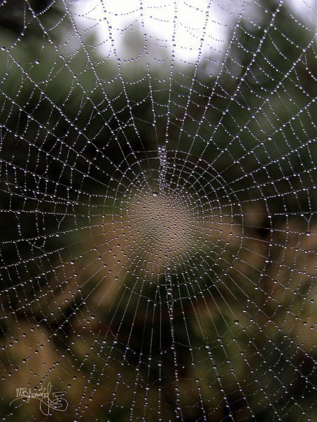 Фотовиставка Тетяни Должко